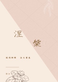 杂家宗师