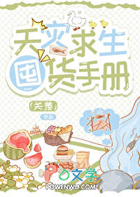 锦衣镇山河