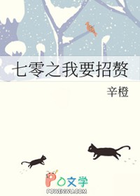 七零之我要招赘